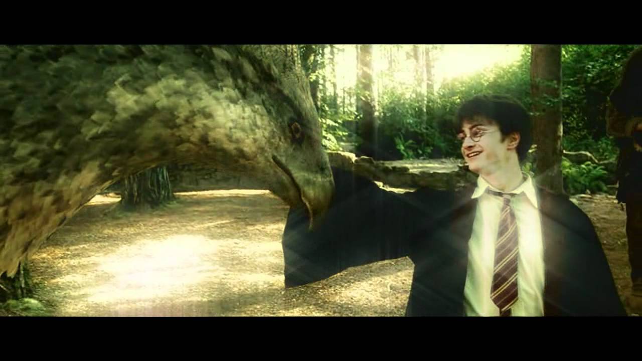 I solemnly swear that I am up to no good - Harry Potter