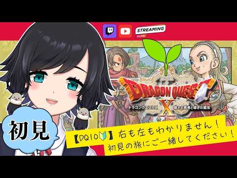 「第12話　アスフェルド学園」初めてのドラクエ10！ (体験版)【#ドラゴンクエスト10】【鳥乃すずめ/Vtuber】の配信サムネイル