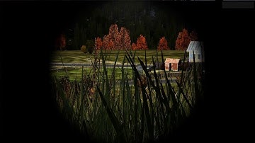 DayZ Standalone 0.60 Pulkovo AK-74 PSO-1-1 kill