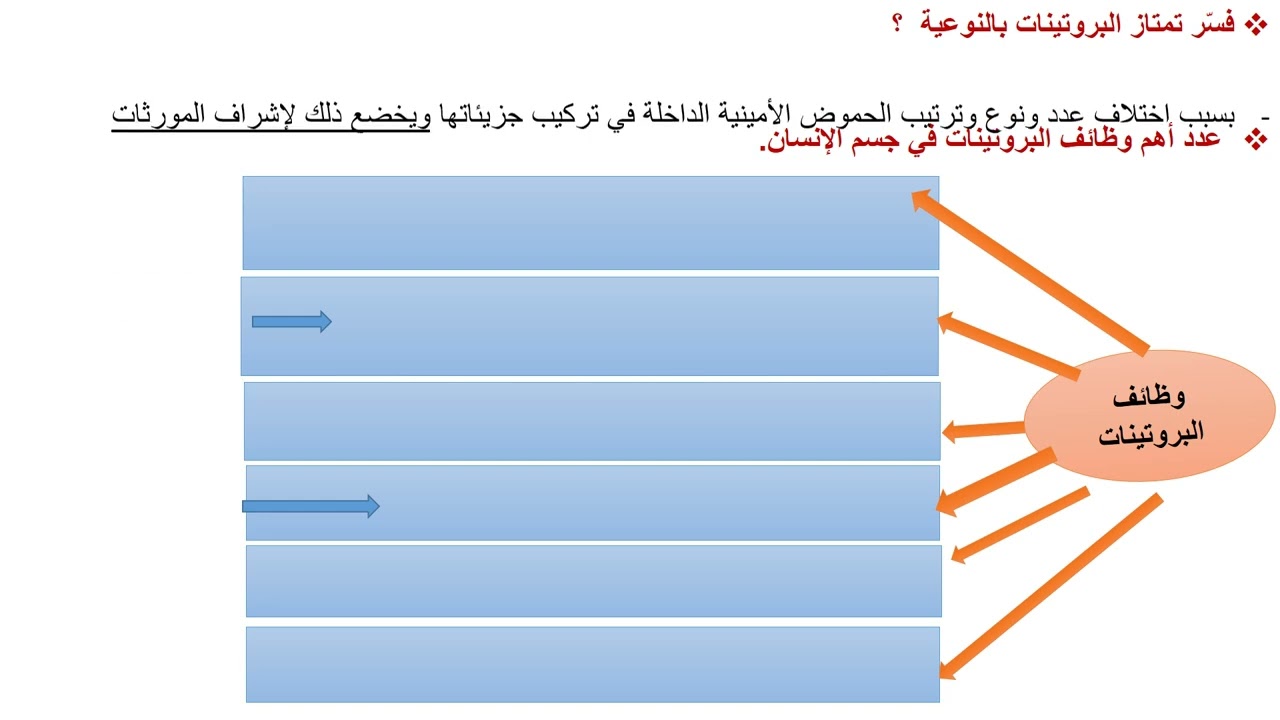 درس البروتينات للصف العاشر علميsouadtahan@