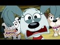 Pound Puppies - Rebound on the Internet