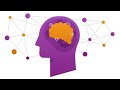 A Life Project: Tools and Tactics for a Better Brain
