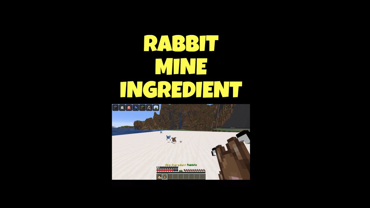 Java Edition Rabbit Rabbit Mine Ingredient - Obtaining & Specific Mechanics #java # ...