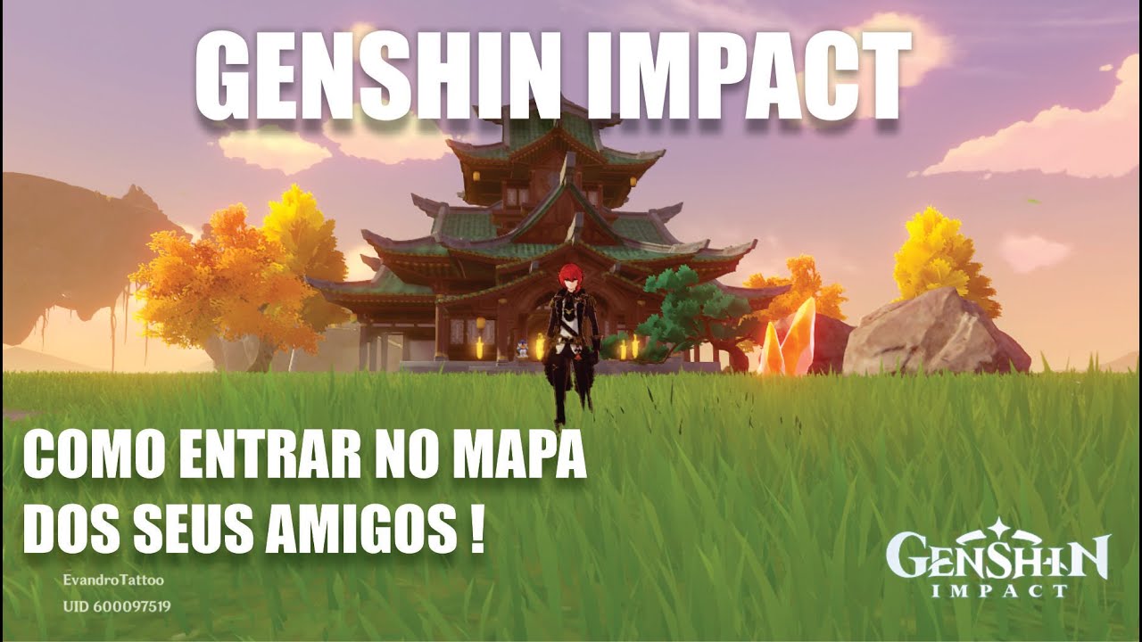 Amigos no discord Genshin Impact
