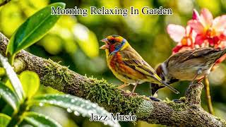 Morning Jazz Music - Instrumental Soft Jazz Music | Morning Relaxing In Garden screenshot 1
