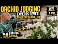 What Orchid Judges Notice in Seconds (Most Growers Don't)