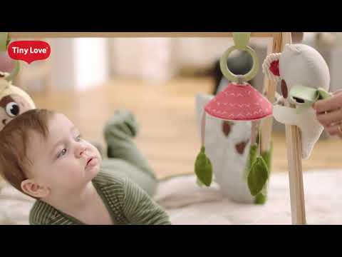 Boho Chic Luxe Developmental Gymini | Tiny Love Toys