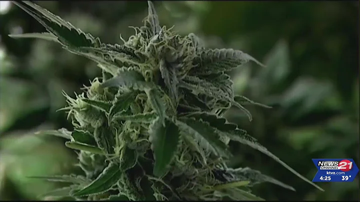 OLCC to create new licensing platform