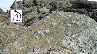 Limpet racing #1 @ Hope Cove 190916 timelapse