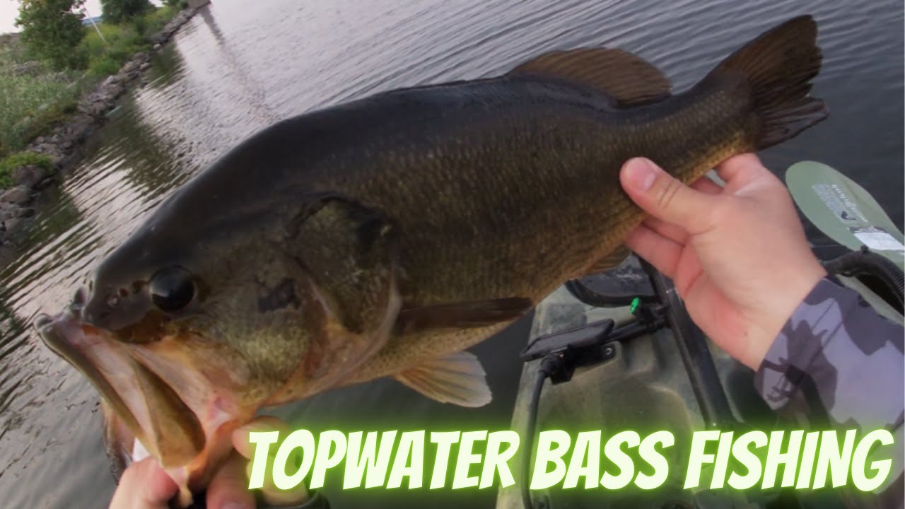 TOPWATER BASS FISHING – PART 2 (PLUS BONUS GIANT FISH)