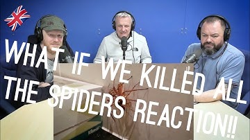 What If We Killed All Spiders? REACTION!! | OFFICE BLOKES REACT!!