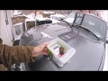 Bats in House During Winter