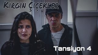 Kırgın Çiçekler - Tansiyon 4 Resimi