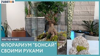 Как сделать флорариум с бонсай своими руками | Мастер-класс