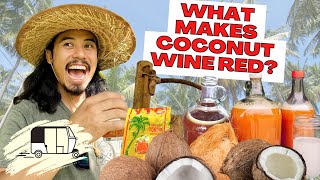 The locally famous homemade coconut wine packed with health benefits! AKA TUBA Episode 5