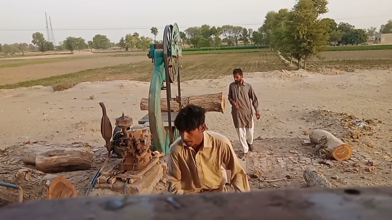 thoughest wood cutting | Skilled teamwork for cutting wood work |