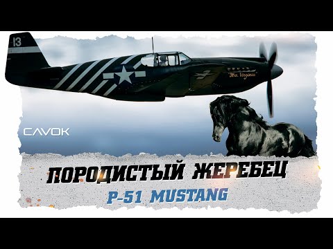 Видео: ПОРОДИСТЫЙ ЖЕРЕБЕЦ | P-51 MUSTANG | ПЕРВАЯ ЧАСТЬ