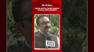 AAP Leader Ashok Kumar Mittal Speaks on Replacing Raghav Chadha in Rajya Sabha