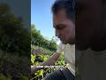 Hit the link in my bio to join the free community and course. #regenerativegardening
