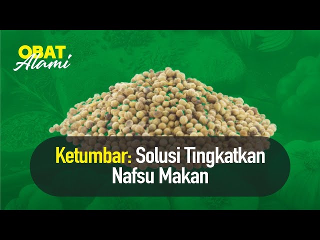 Obat Alami Ampuh Meningkatkan Nafsu Makan  | Hidup Sehat class=