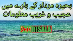 Interesting Information About Dead Sea in Urdu