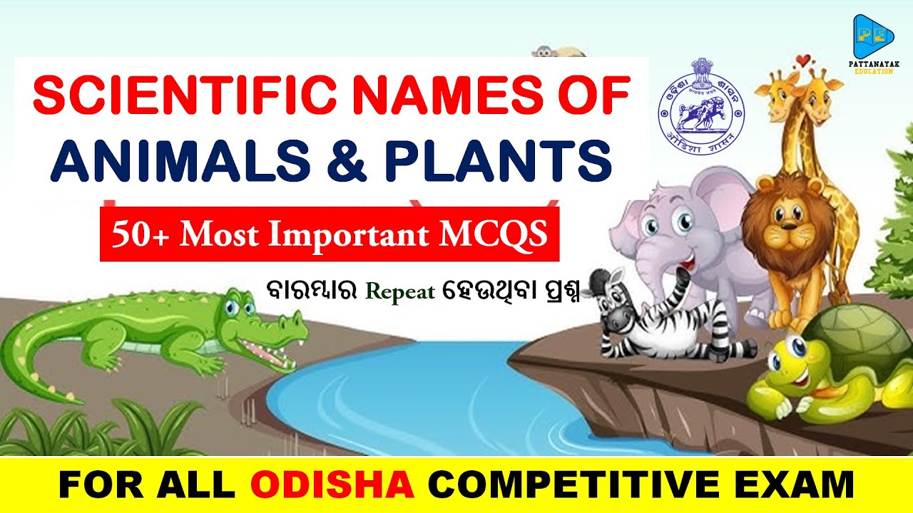 Scientific Names of Animals and Plants Selected MCQS for All Exam by ...