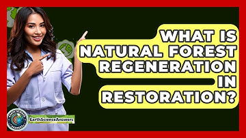 What Is Natural Forest Regeneration In Restoration? - Earth Science Answers