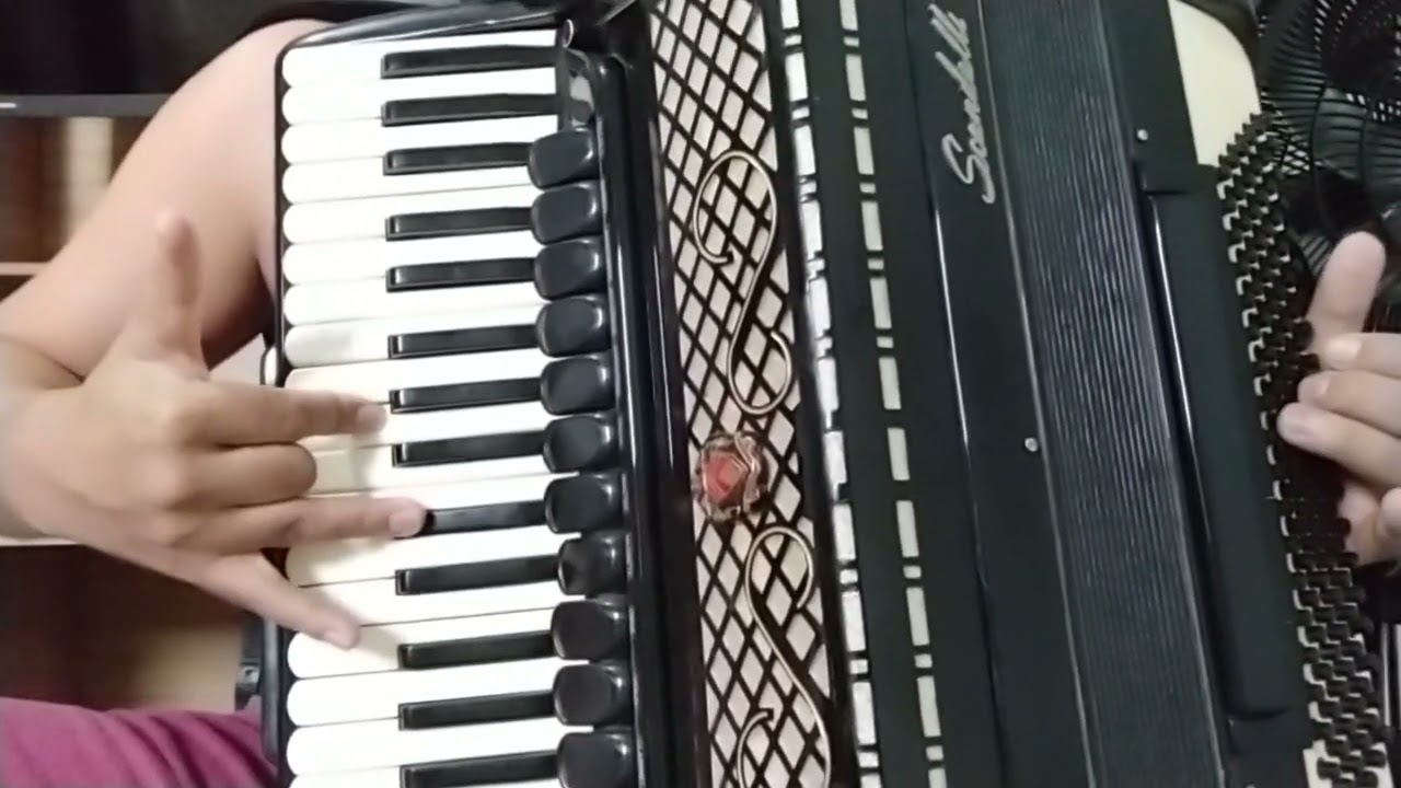 Vídeo Aula Acordeon Adeus Mariana A mais Pedida no forró