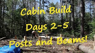 Off-Grid Cabin Build Days 2-5 (Posts and Beams)