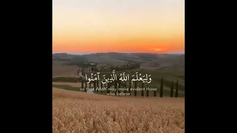 قرآن كريم بصوت عمر بن عبدالعزيز||حالات واتس اب