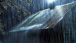 Sleep Instantly with Heavy Rainstorm & Thunder Sounds  Relaxing Rain Sounds for Deep Sleep