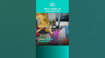 Meta เปิดตัว AIตรวจจับวัตถุในภาพได้ | TNN Tech Reports