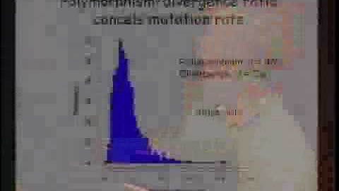 Population Genomics of Drosophila with Parallel Sequencing Methods - Andy Clark