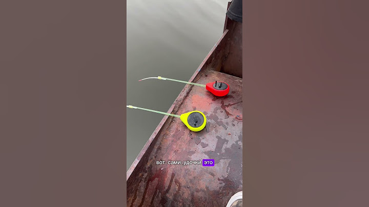 Летом на зимнюю удочку #fishing #рыбалка #рыбалка