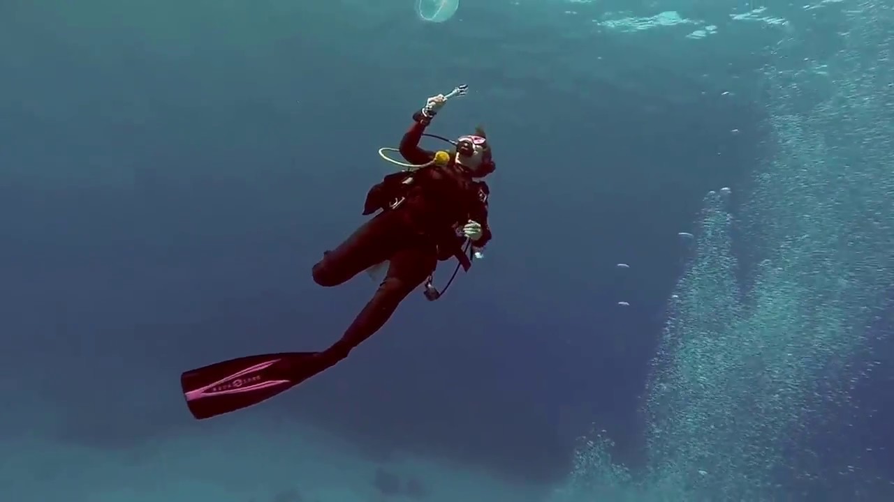 Diving Roatan YouTube