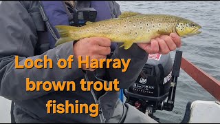 Fly fishing for Orkney's Loch of Harray brown trout #fishing #trout #flyfishing