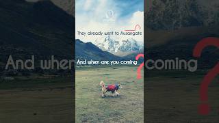 🍃AUSANGATE is not a tour,it's a sacred journey. www.perutrek.org #Perutrek #Ausangate #dogslife