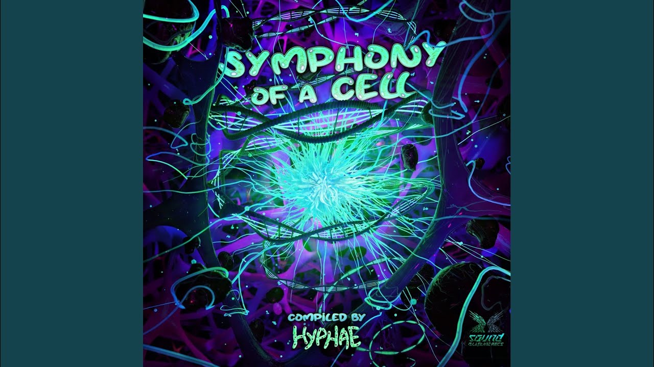Watch Suspicious Symphony on YouTube Watch Suspicious Symphony on YouTube