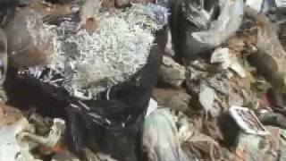 Recycling Buried Forever