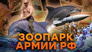 Боевые ДЕЛЬФИНЫ и... 😱 ЭКСПЕРИМЕНТЫ Кремля НАД ЖИВОТНЫМИ ШОКИРУЮТ