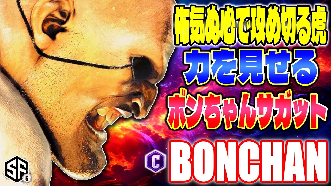 【スト6】怖気ぬ心で攻め切る虎 力を見せるボンちゃんサガット ボンちゃん (サガット) 【SF6】