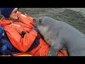 When animals become totally obsessed with their humans