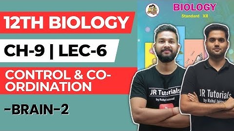 12th Biology | Chapter 9 | Control & Co Ordination | Lecture 6 | Maharashtra Board |