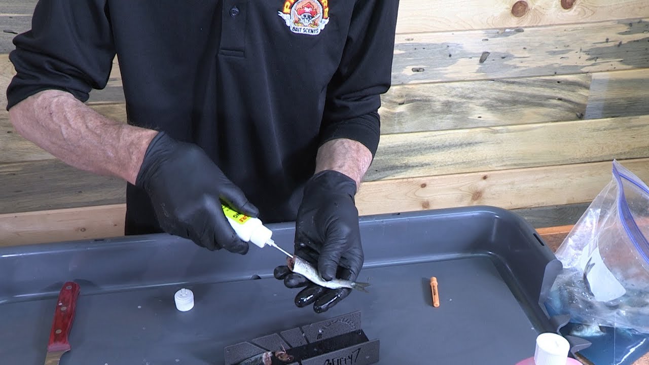 How to inject your baits with scent to catch more fish. 