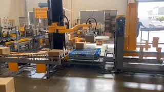 Single Column Palletizer with Vacuum Gripper for cartons #palletizer #palletizing #gripper #grippers