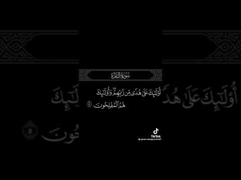 مره اشتقت لكم  مرهههههههههه اشتقتولي الوصف
