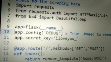 Activating debug mode in Python flask web application