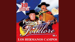 Video thumbnail of "Los Hermanos Campos - El Guaton Loyola"