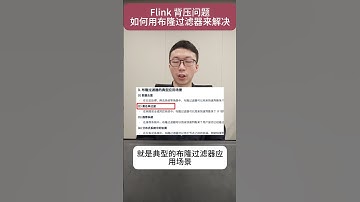 如何用布隆过滤器来解决Flink背压问题？ #大数据