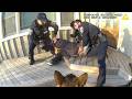 Police K9 Danno Doesn't Speak Spanish! #bodycam